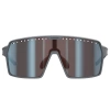 LIMAR Horus | sunglasses | matte grey | LT 15% Cat. 3